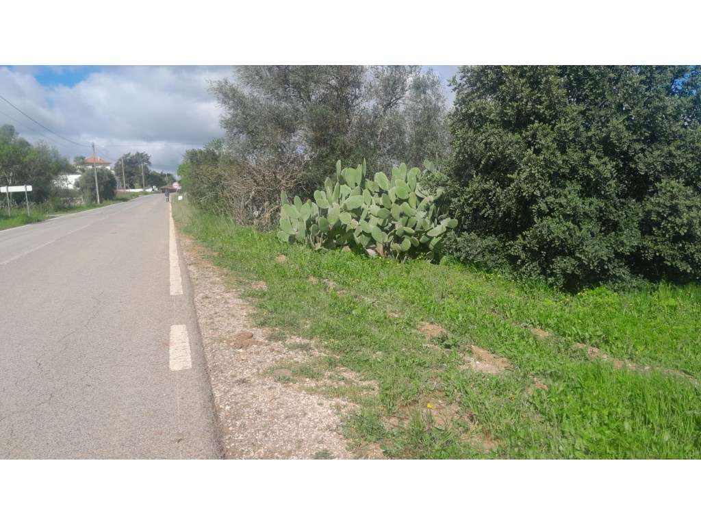 Terreno Rústico, Vimeiro, Salir, Loulé, Algarve - Grande imagem: 5/22