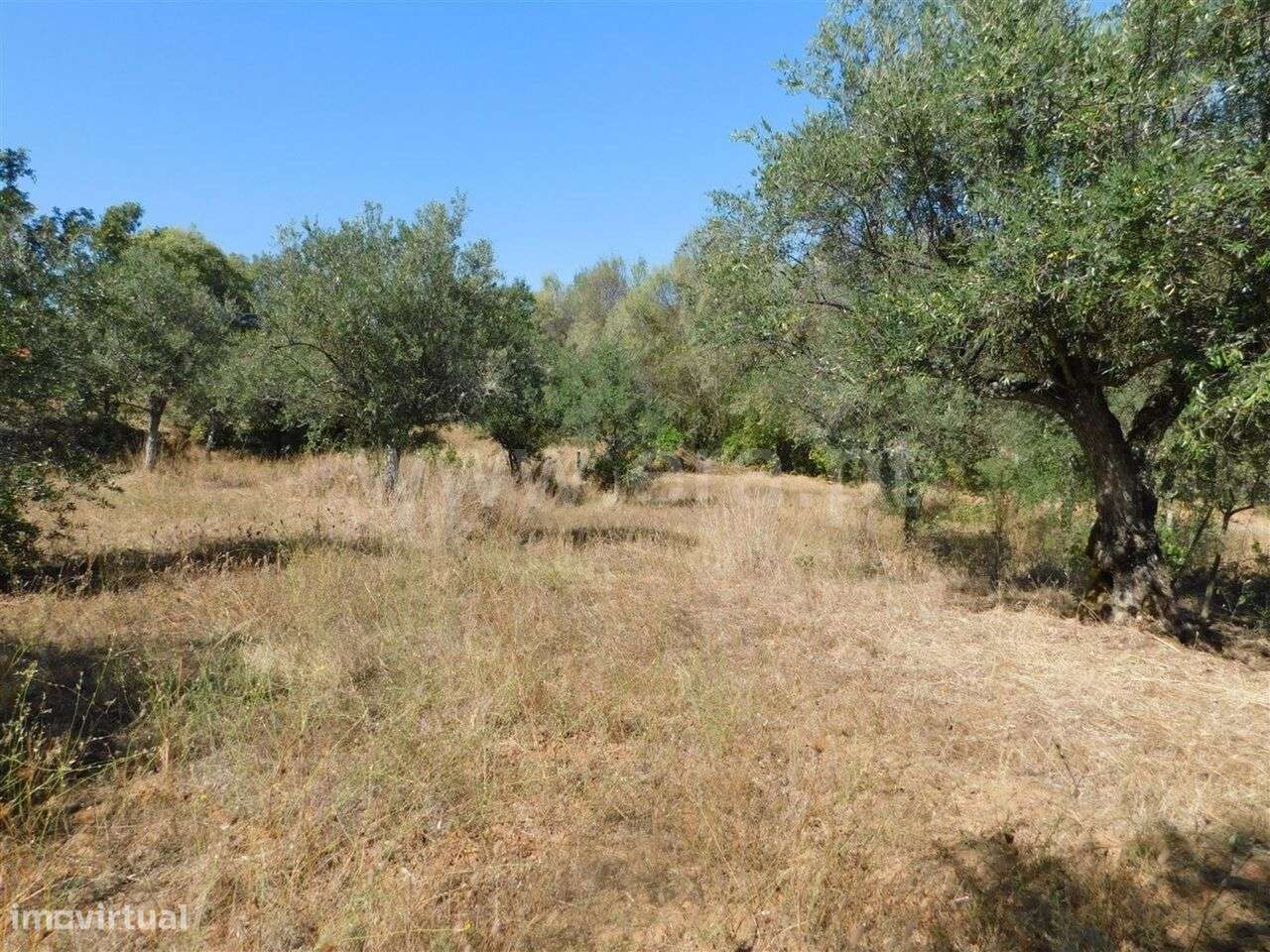 Terreno / Fundão, Capinha - Grande imagem: 3/3