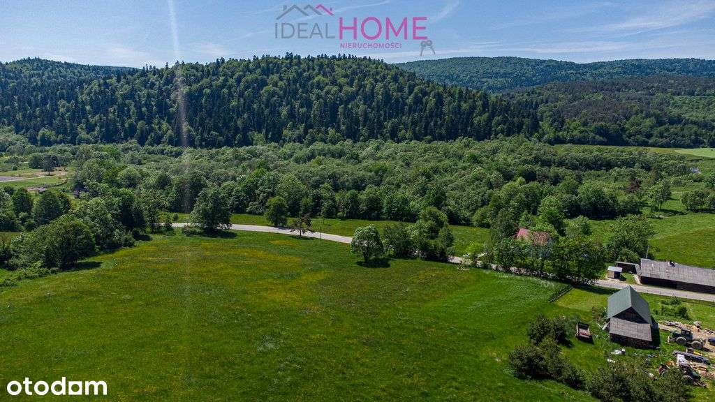 Działka Kotań z możliwością zabudowy - ostatnia - Pełny obrazek: 3/14