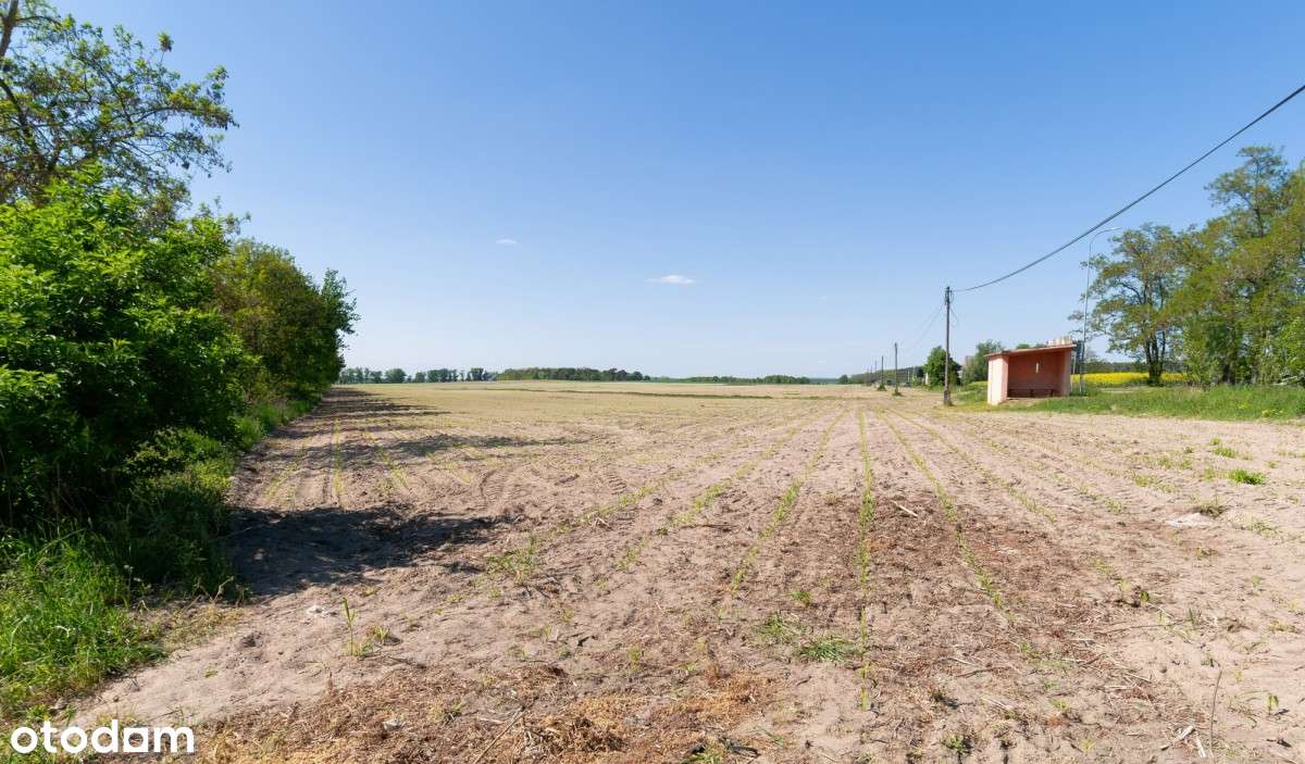 DZIAŁKI BUDOWLANE NA SPRZEDAŻ - BLISKO MOSINY 120 zł/mkw!-9