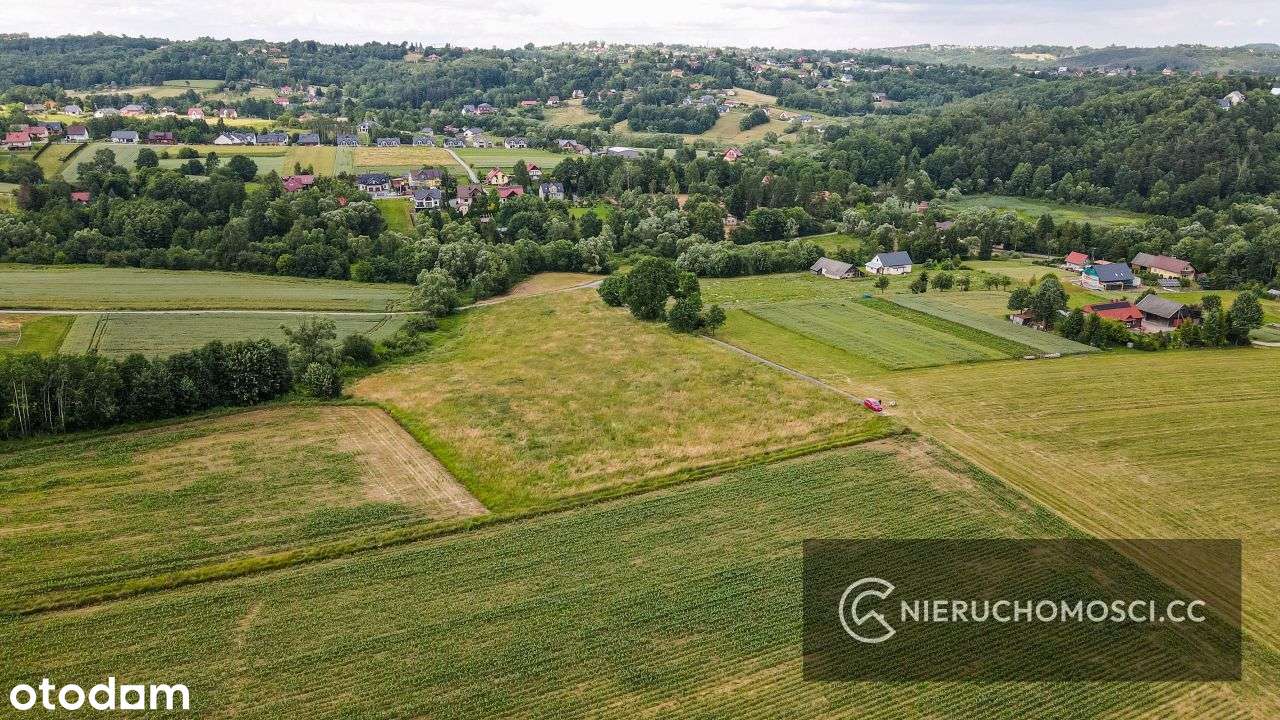 Działka budowlano - rolna 1,6ha pod Krakowem - Pełny obrazek: 5/9