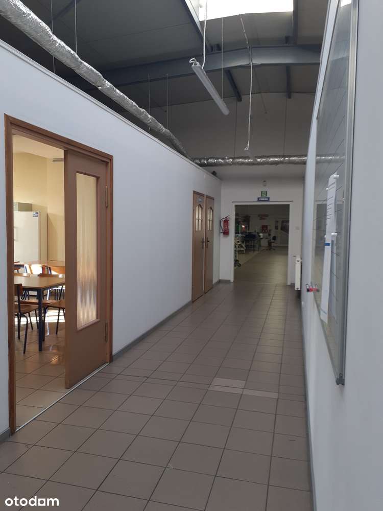 Hala produkcyjno-magazynowa na sprzedaż - Pełny obrazek: 4/7