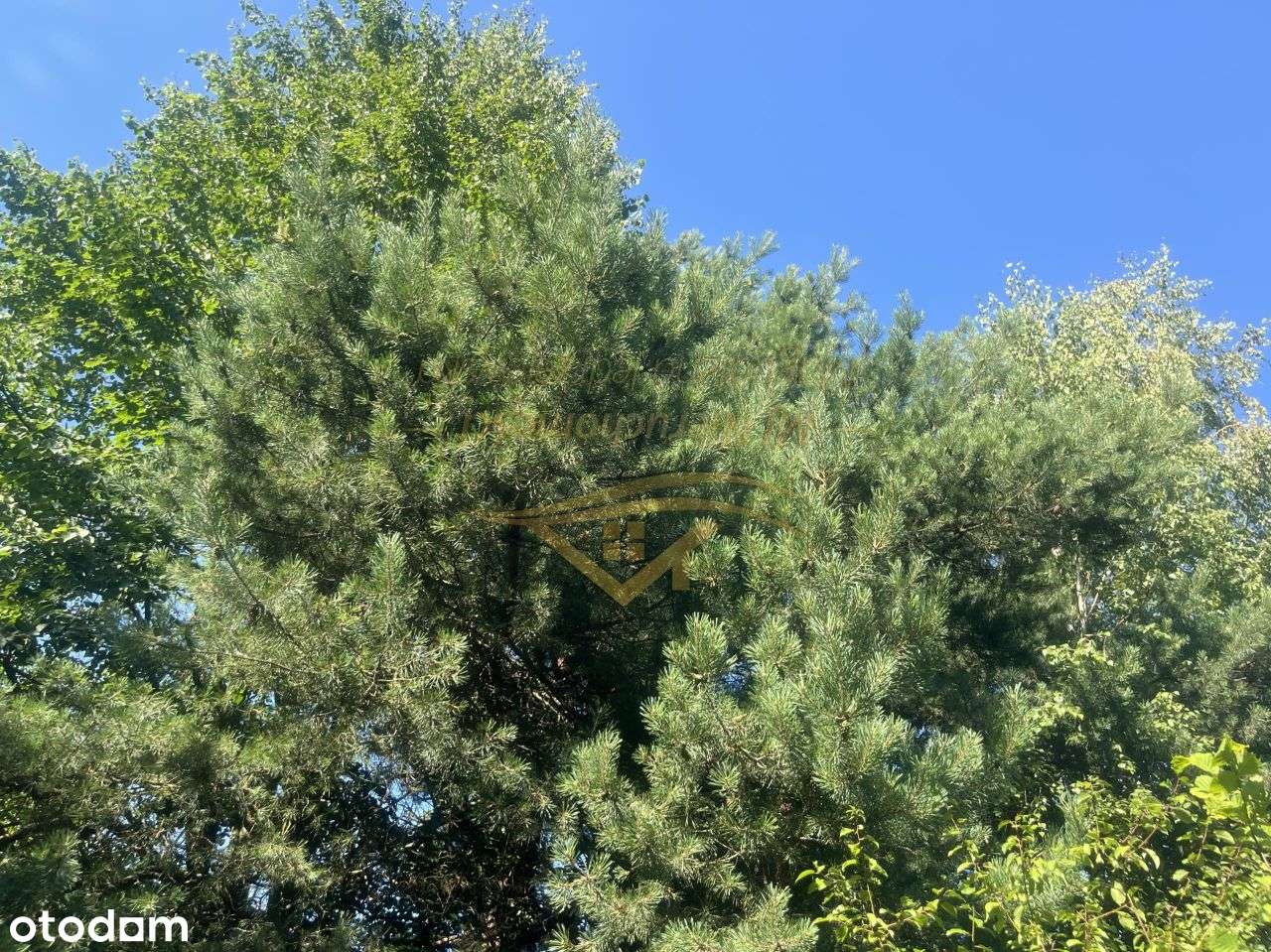 Usługowa , Blisko S8 - Pełny obrazek: 4/7