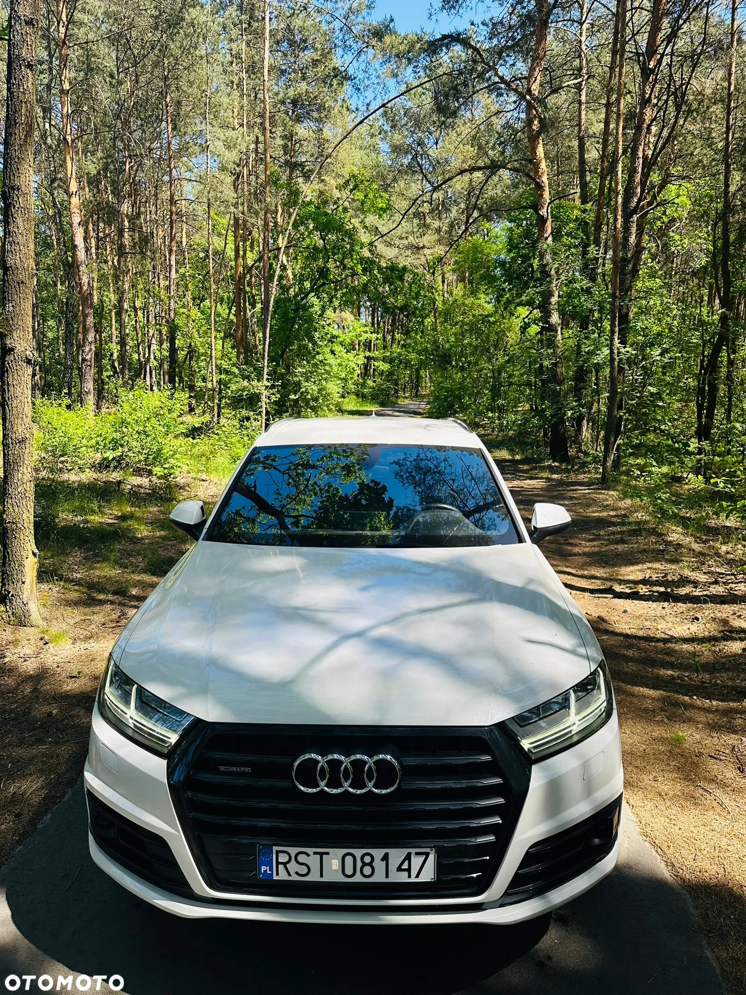 Audi Q7 3.0 TDI Quattro Tiptronic - 8