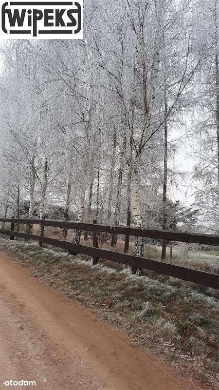 Działka budowlana - Udorpie-4