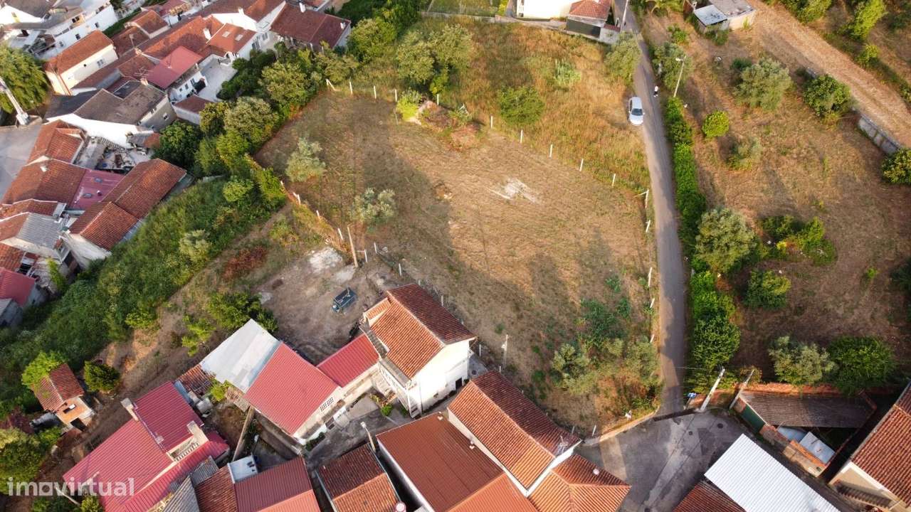 Terreno rústico, para venda, Cantanhede - Ançã - Grande imagem: 4/6