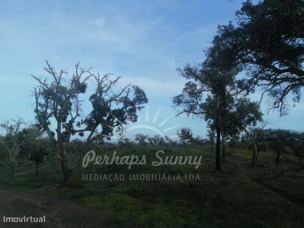 Terreno Rustico São Francisco da Serra - Grande imagem: 2/12