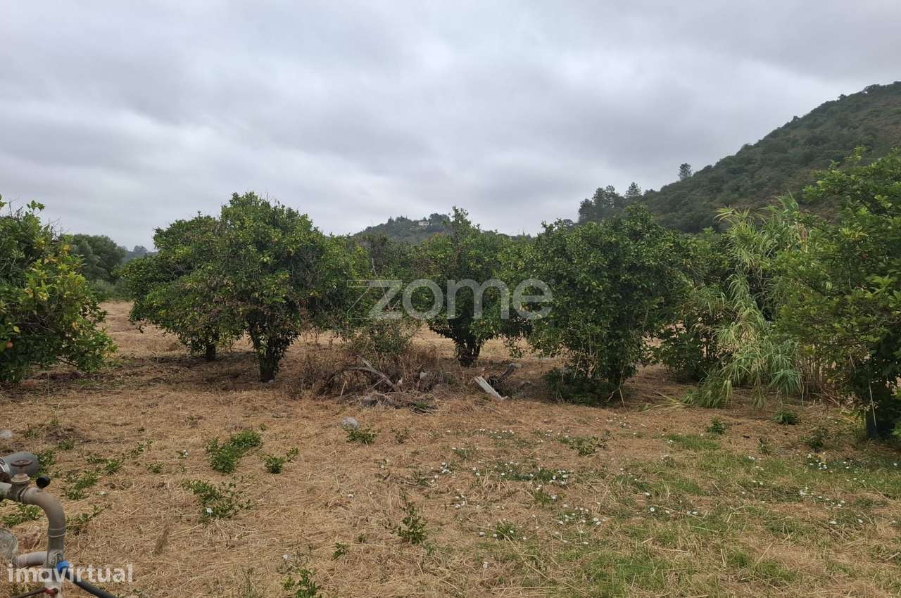 Terreno Rústico c/ Furo, c/ 18.360m2 em Messines - Grande imagem: 1/24