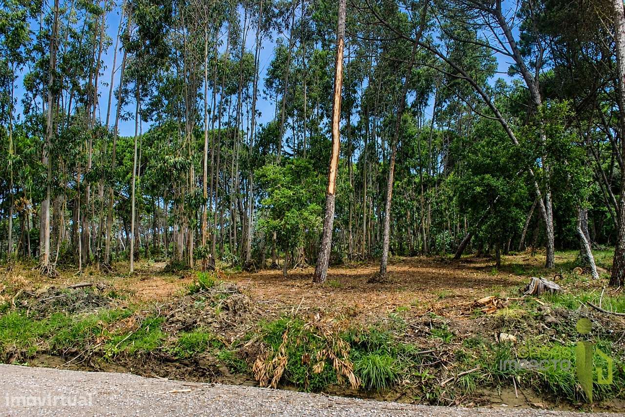 Terreno Rústico  Venda em São João das Lampas e Terrugem,Sintra-5