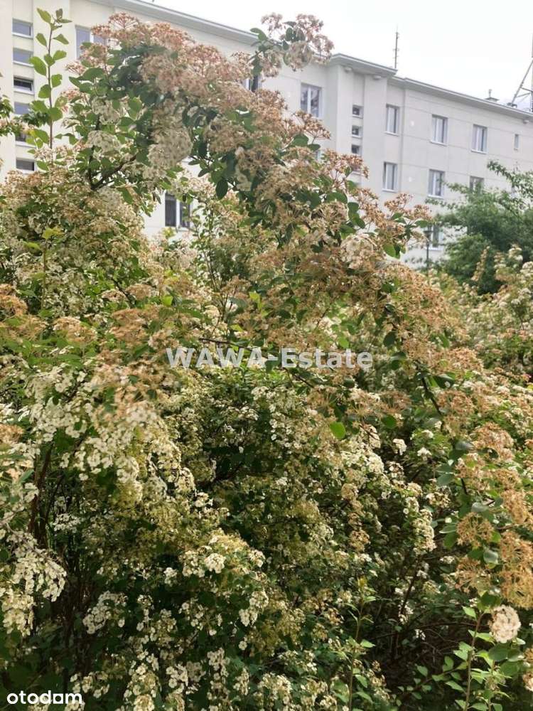 Śródmieście. Dwa pokoje. Po remoncie. Metro.-17