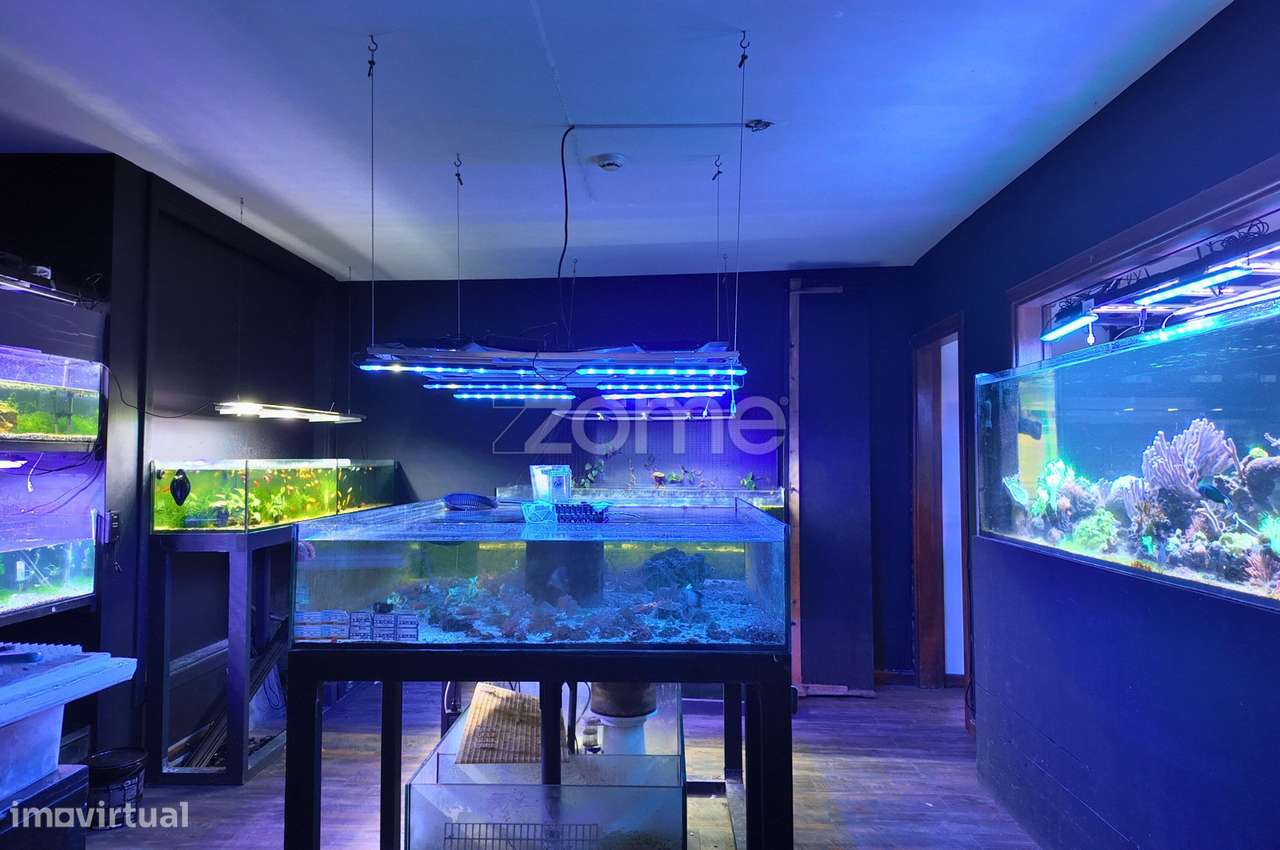 Trespasse de Loja na Maia – Excelente Oportunidade - Grande imagem: 3/16