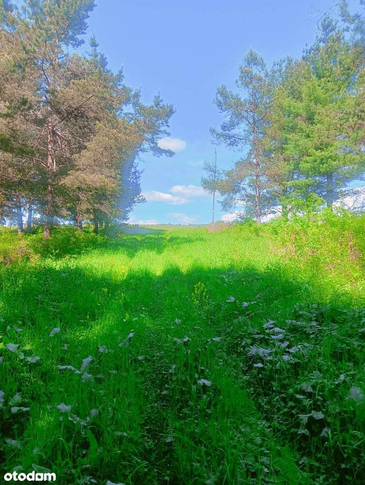 Na sprzedaż działka rolna 16,8 ha Smolnik / Wola Michowa, gm. Komańcza - Pełny obrazek: 5/9