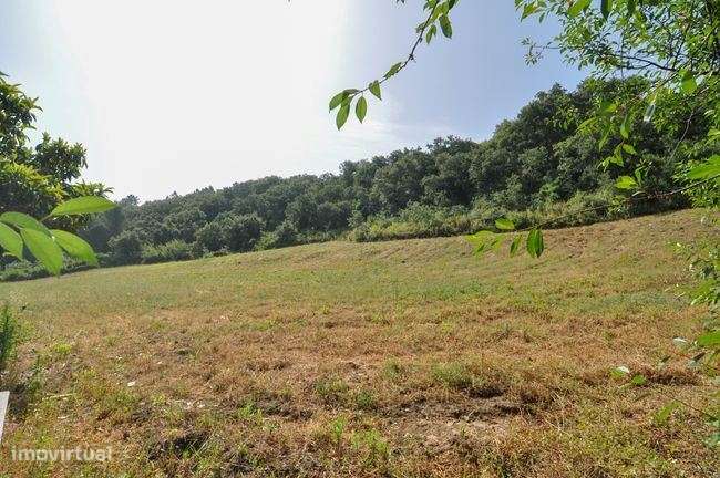 Dois terrenos rústicos - Grande imagem: 5/8