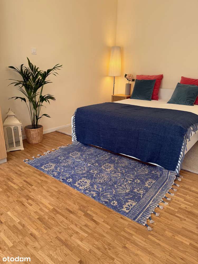 Brzask, Grunwald, 2 pok,studio, piękne, po remoncie,duży balkon, meble - Pełny obrazek: 3/20