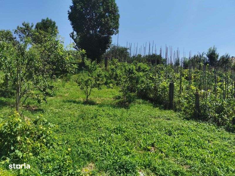 Casa ,unic proprietar - Imagine principală: 4/7