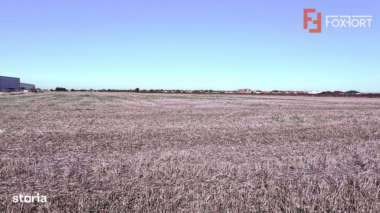 COMISION 0% Teren extravilan 40.000 mp - zona Sanandrei - Imagine principală: 4/4