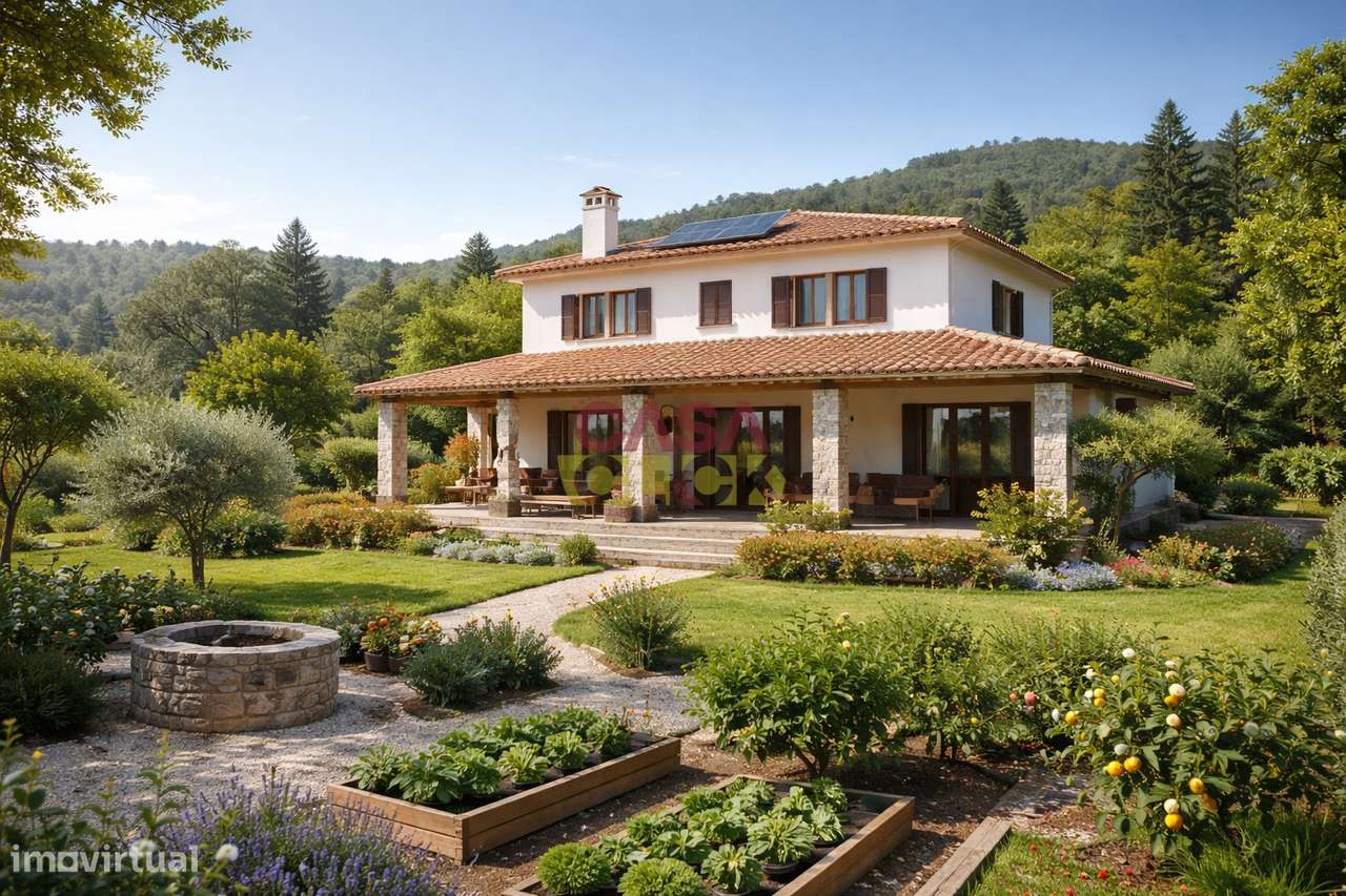 Terreno Misto  Venda em Cardigos,Mação - Grande imagem: 2/30