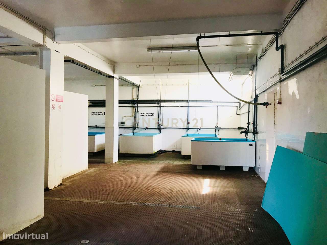 VENDE-SE – ARMAZÉM PRÓXIMO DA PRAIA COM EXCELENTE POTENCIAL DE INVESTI - Grande imagem: 3/9