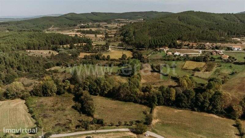 Terreno / Fundão, Enxames - Grande imagem: 1/7