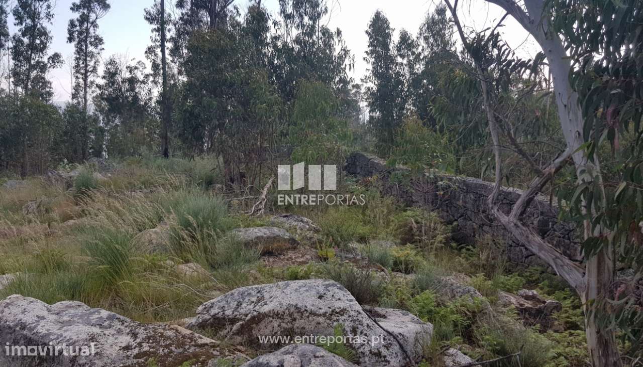 Venda Terreno, Sande, Marco de Canaveses - Grande imagem: 3/8