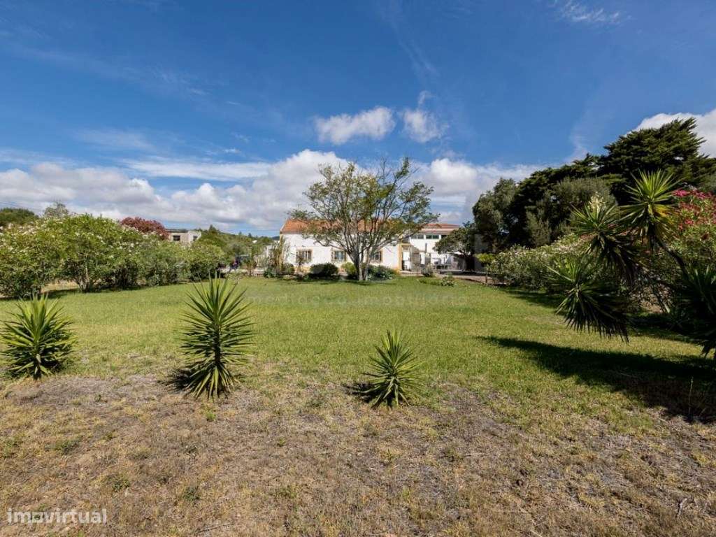 Quinta em Cascais com 10.000m2 - Grande imagem: 1/60