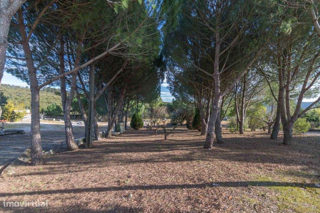 Terreno para Parque de Campismo/ Turismo Rural - Grande imagem: 4/30