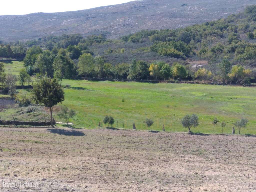 Quinta de 5ha no Coração do Douro - Riodades-8