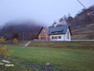 Proprietate cu potențial turistic în zona montană a Țării Lăpușului - Imagine principală: 2/20