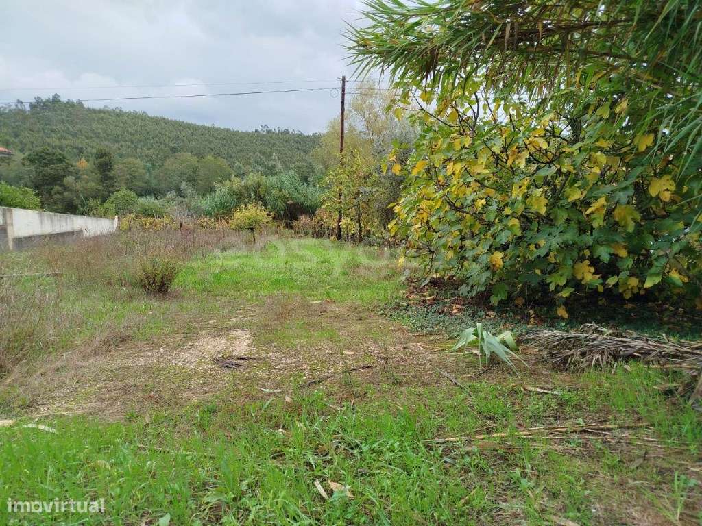 Terreno Urbano para construção de moradia, em Vale da Proa, Semide - Grande imagem: 4/13
