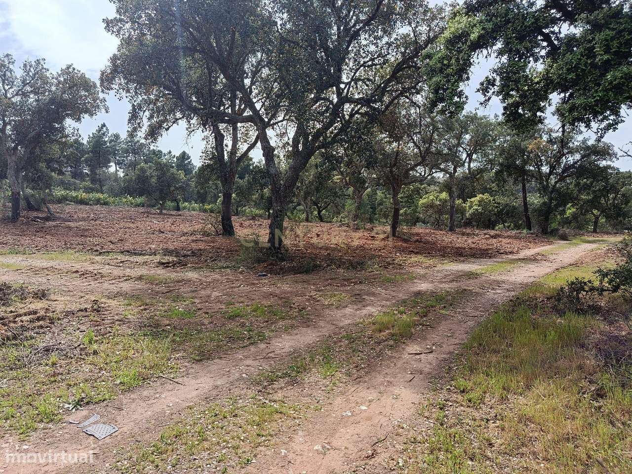Terreno Rústico com 1.6ha Monfortinho-15