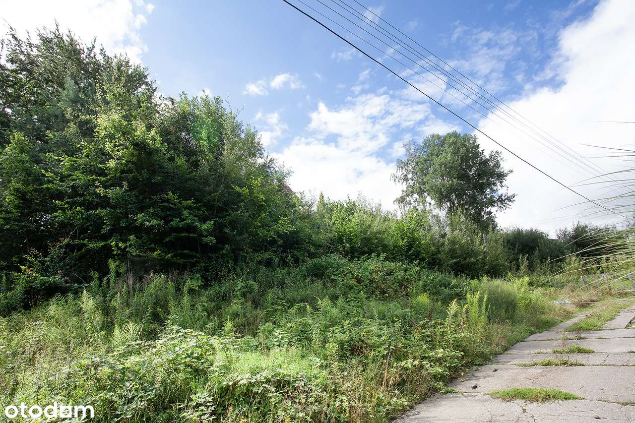 Jedyna działka w tej okolicy- Gdynia, Mały Kack - Pełny obrazek: 5/6