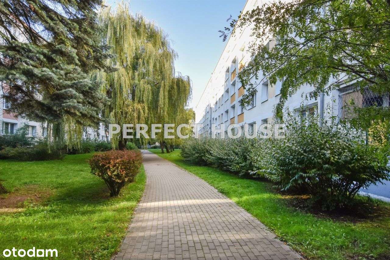 Mieszkanie parter 3 pokoje loggia blisko Centrum