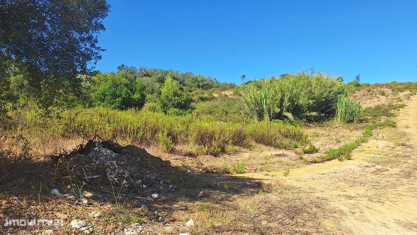 Terreno, 19 840 m², Pontével - Grande imagem: 4/4