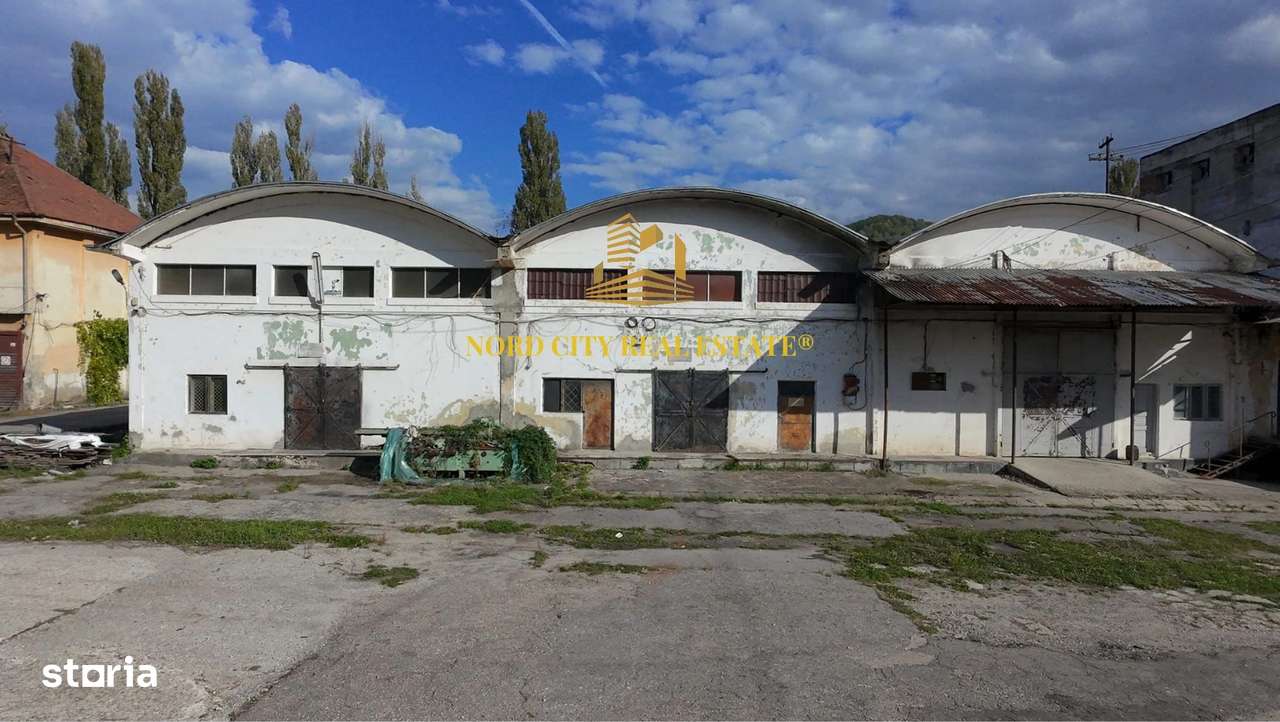 Platforma Industriala-8 ha -Fabrica-Hale Productie-21.500 mp-18