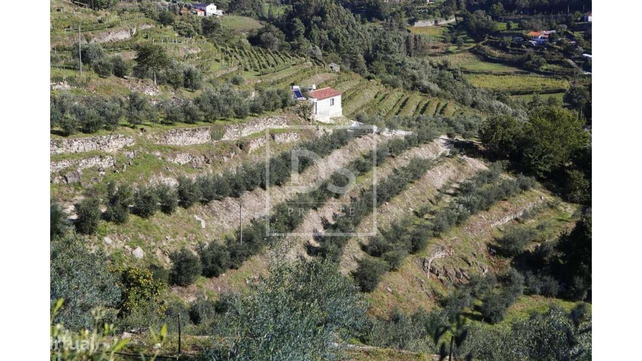 Quinta >=T10 Venda em Paredes de Viadores e Manhuncelos,Marco de Canav-38