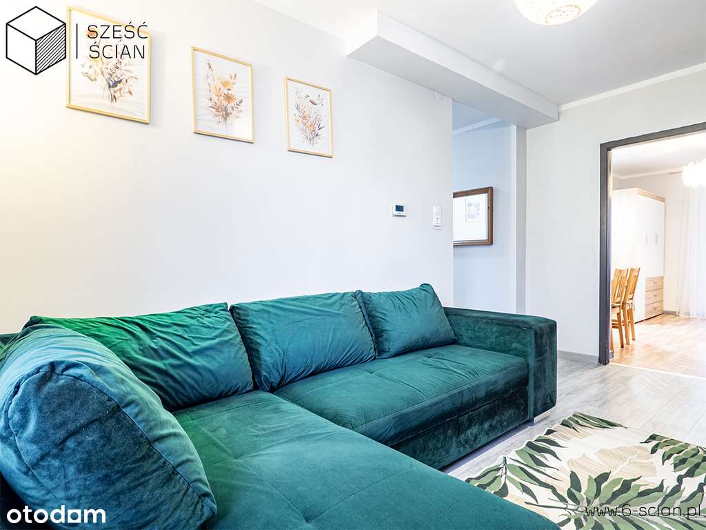 2 -pok.| Po remoncie| Piwnica| Brochów - Pełny obrazek: 3/12