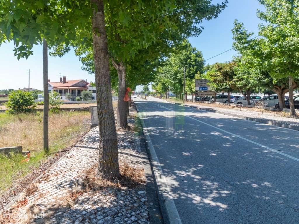 Lote Terreno em Mira - Grande imagem: 3/3