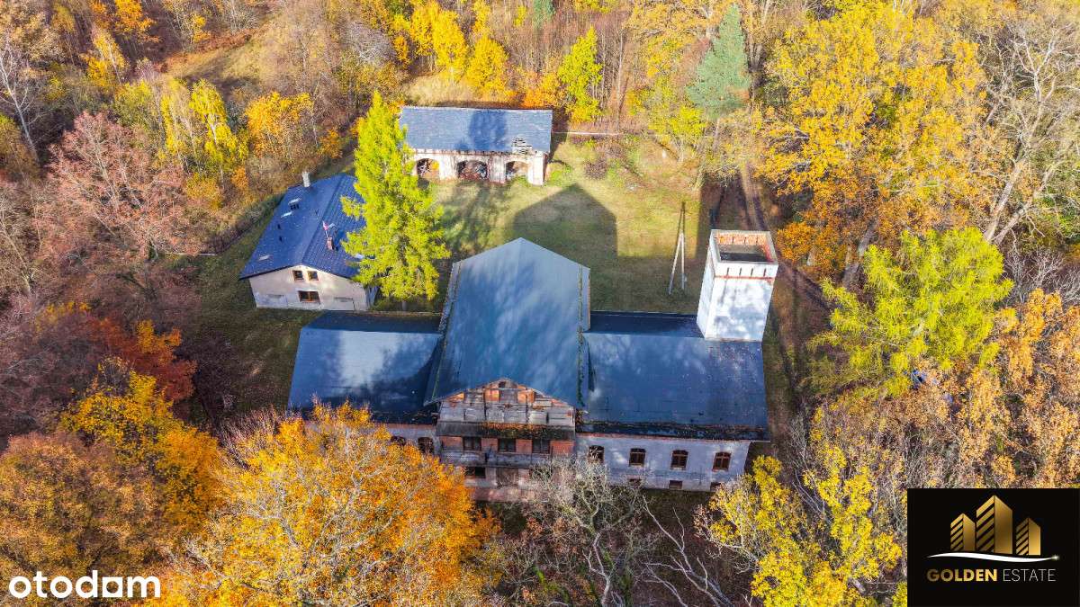 Historyczny pałac na sprzedaż! - Pełny obrazek: 3/20