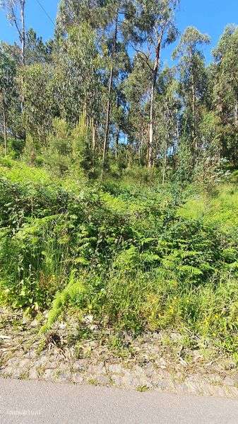 Terreno  para construção, com 2096 m2, em Telões - Amarante - Grande imagem: 5/7