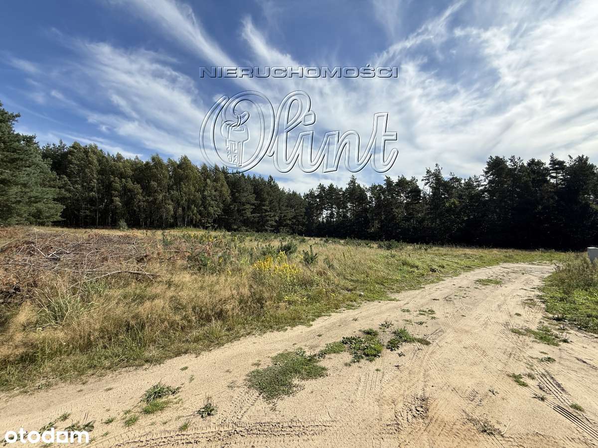 Lubowidz 4 działki nad jeziorem - Pełny obrazek: 4/12