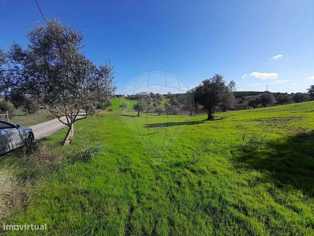 Terreno  para venda - Grande imagem: 5/6