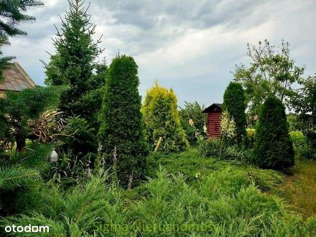 Dom, 128 m², Piątek-6