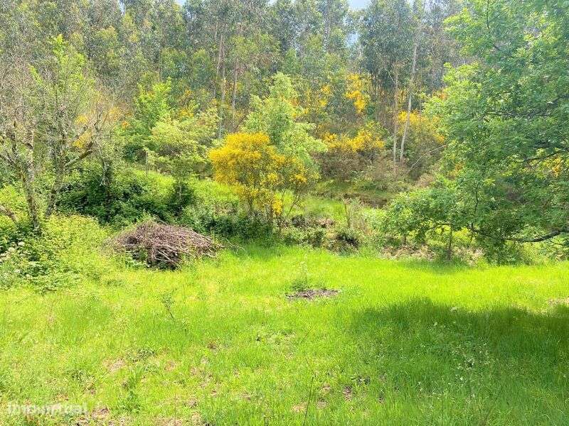 Terreno com ruina / Marco de Canaveses, Soalhães - Grande imagem: 2/6