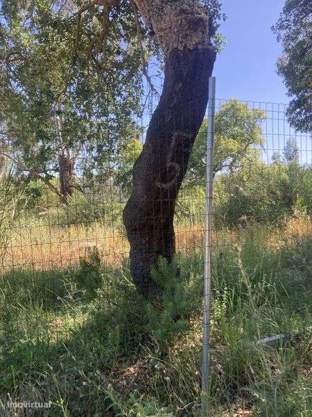Para cavalos a campo Lisboa loures . Terreno - Grande imagem: 4/6