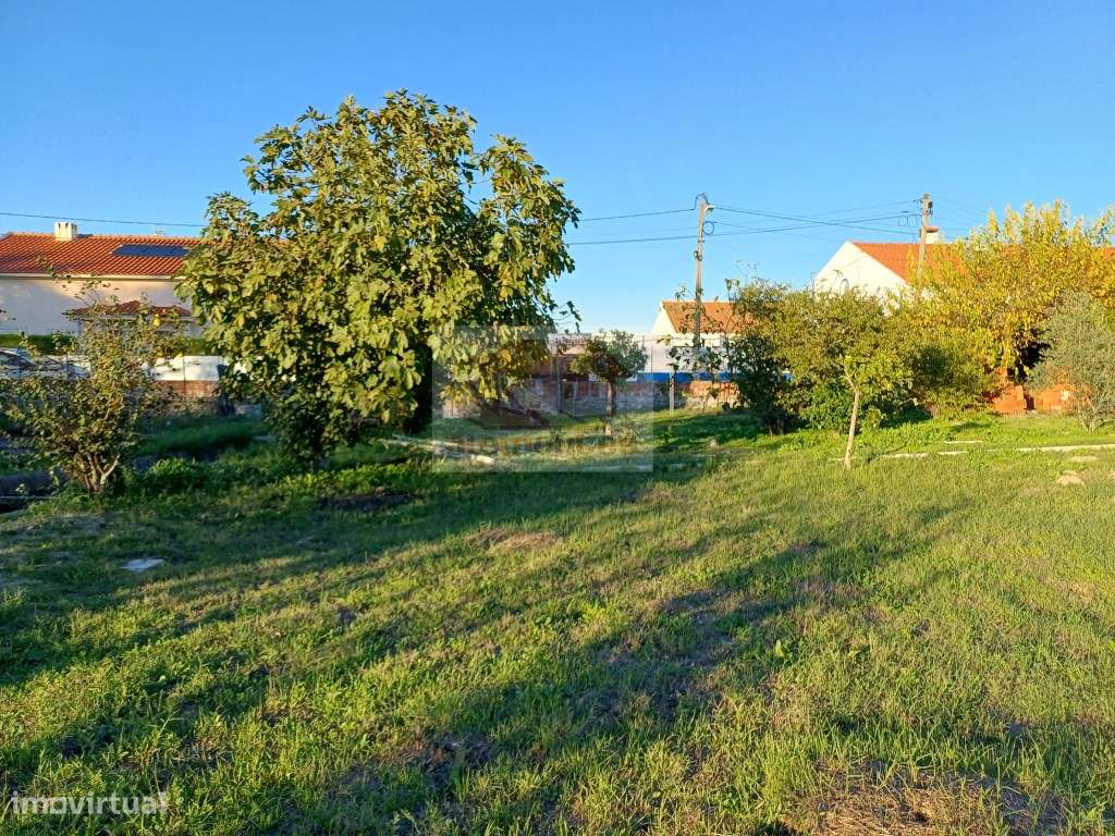 Excelente oportunidade - Quinta com 3 habitações em Grândola-23