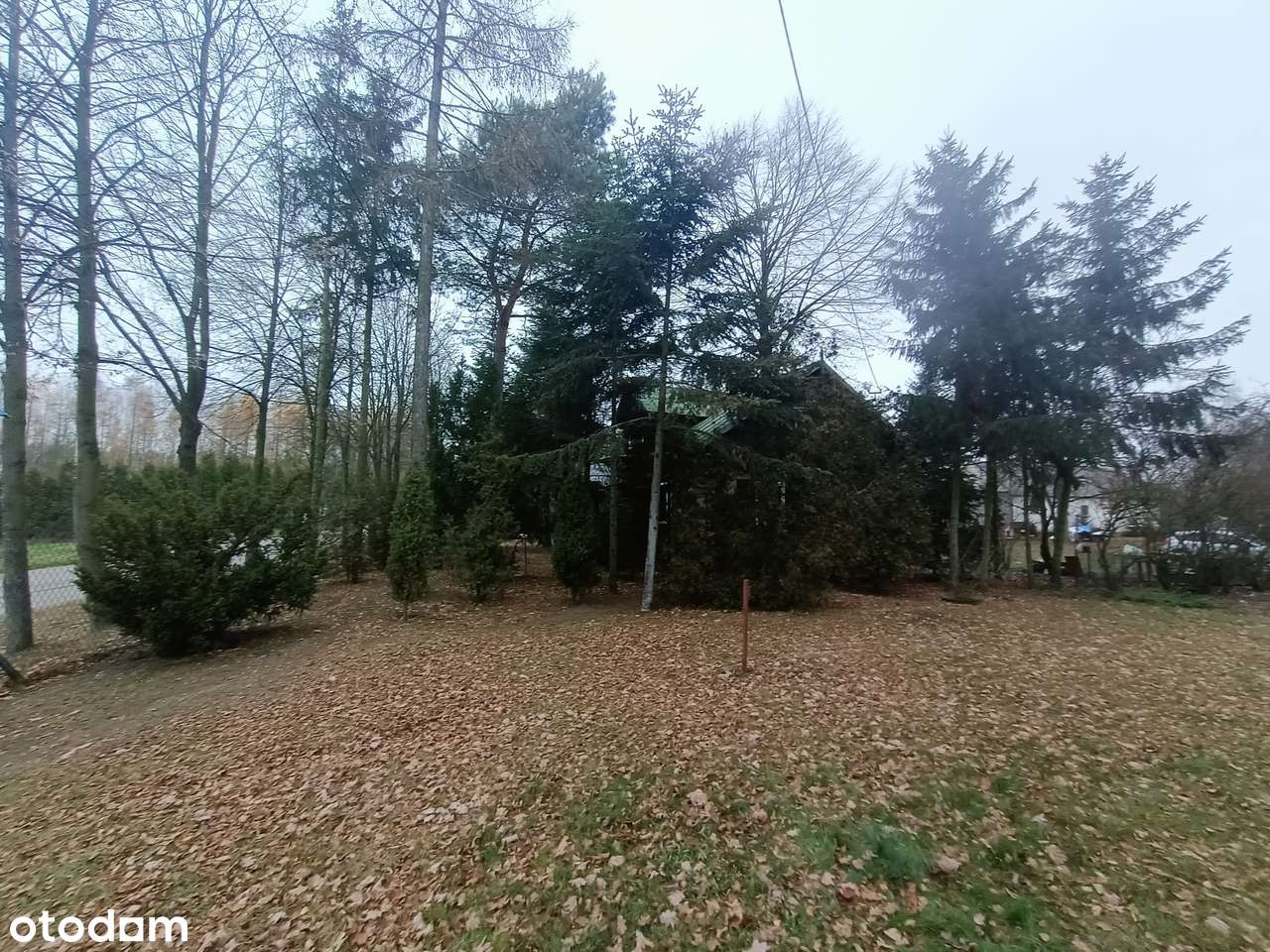 Urokliwe siedlisko z lasem CENA DO NEGOCJACJI - Pełny obrazek: 5/17