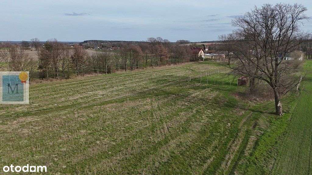 Złotnik działki na sprzedaż |woda w drodze - Pełny obrazek: 5/5
