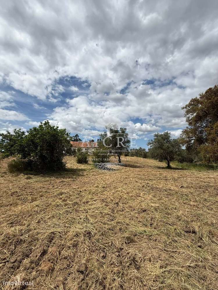 Monte Alentejano com Projeto de Turismo Rural Aprovado – Santiago do C-21