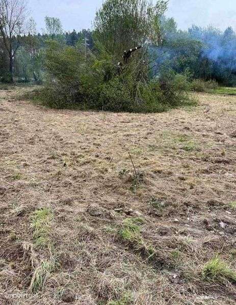 Terreno rústico em Enxames (Fundão) – 2.000 m² - Grande imagem: 4/9
