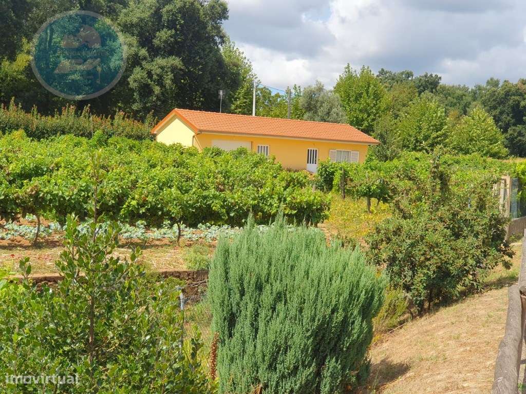 Quintinha à venda- Arco de Baúlhe-53